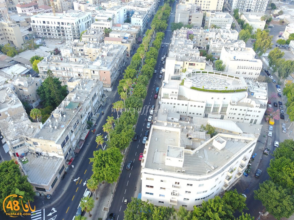 jamal basha tsterre (1).JPG